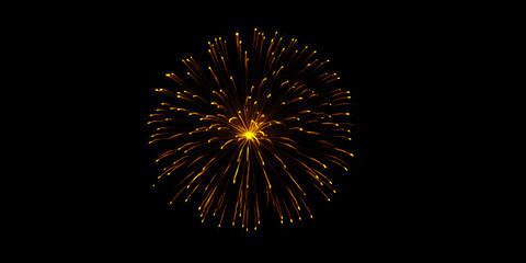 A burst of golden firework illuminating the night sky celebrating a special occasion with radiant light on a stark black
