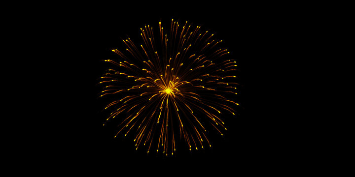 A burst of golden firework illuminating the night sky celebrating a special occasion with radiant light on a stark black
