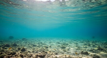 Clear Underwater Seabed Sunlight.