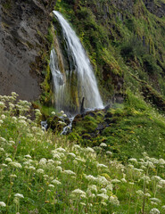 Fototapeta premium the waterfall Seljalandsfoss in Iceland