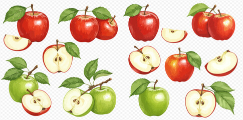 A collection of illustrated red and green apples, shown whole, halved, and sliced with fresh leaves.