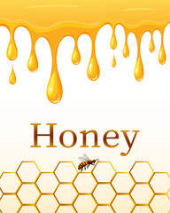 Illustration with drops of honey.Vector illustration with honey drips and honeycombs on a light background with text.