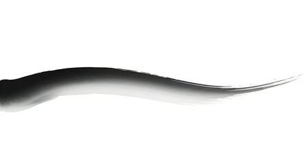 Elegant black ink brush stroke adds dynamic artistic flair to minimalist designs and modern presentations