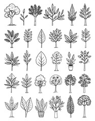 Collection of Various Trees and Plants.