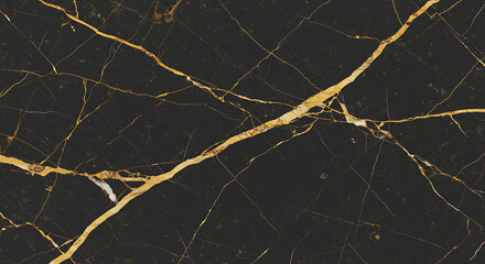 An Elegant close-up of black and gold marble stone, showcasing a sophisticated and luxurious design. The unique combination of natural patterns brings timeless aesthetic appeal.