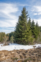 Winter landscape of Vitosha Mountain, Bulgaria