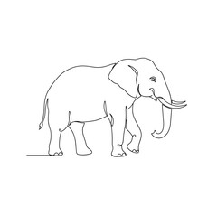Fototapeta premium Simple line drawing of an elephant standing on white background 