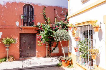 Estepona, Malaga, Andalusia, Spain. 3 September 2025. Flower pots mounted on white wall