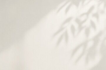 Obraz premium Minimal sunlit white wall background with soft blurred foliage shadows natural light aesthetic modern neutral texture for branding mockups and serenity