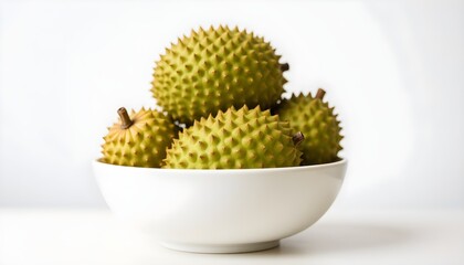 cactus in a pot isolated