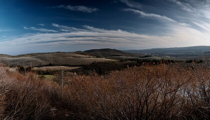 Great For Textures And Backgrounds For Your Projects