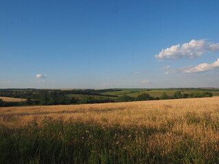 Obraz premium field and sky