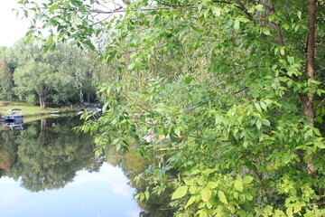 pond in the park