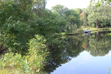 lake in the woods