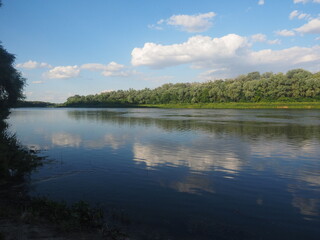Obraz premium summer landscape with lake