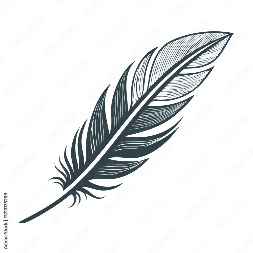 Poster detailed illustration of a single feather with intricate lines and patterns, isolated.