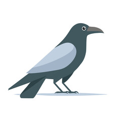 Obraz premium Stylized Dark Bird with Light Gray Wings Standing Still