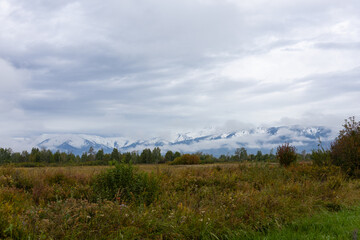 The snow-capped mountains of Altai rise in the background, partially hidden by clouds. In the foreground is a grassy field.