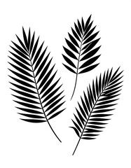 Fototapeta premium Three stylized palm leaves in a simple, striking black silhouette against a plain white background.