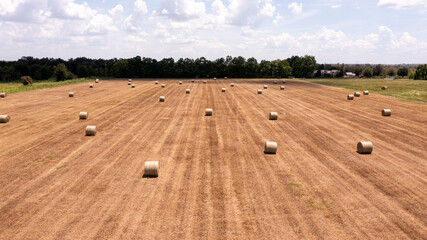 hay bales in a field
