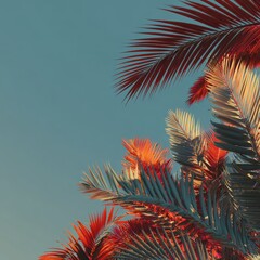 Vibrant Palm Fronds Bathed in Golden Sunset Light Against a Serene Teal Sky.