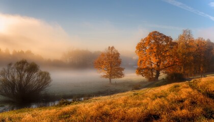 Foggy Autumn Morning Reveals Tranquil Landscapes With Trees And Mist