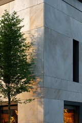A corner of a modern building, featuring light-toned stone panels, casts dramatic shadows from a leafy tree, creating a striking architectural interplay of light and form.