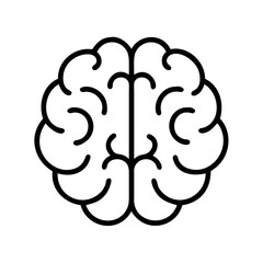 Human brain illustration for medical infographic and educational resources about neurology