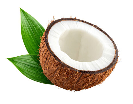 Kokosnuss