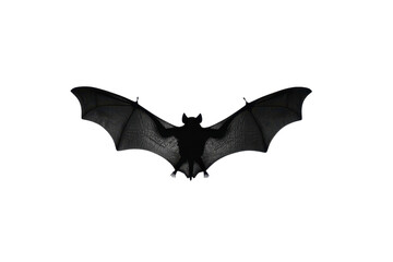 Silhouette of a bat with wings spread wide.