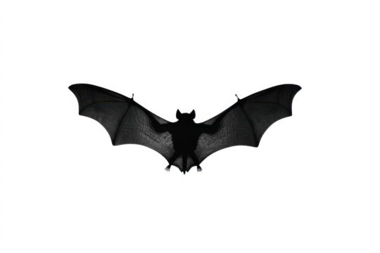 Silhouette of a bat with wings spread wide.