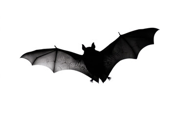 Detailed silhouette of a flying bat with its wings spread open, isolated on a white background.