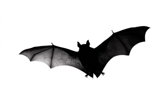 Detailed silhouette of a flying bat with its wings spread open, isolated on a white background. - Powered by Adobe