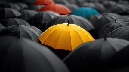 Yellow Umbrella Shines Bright Among Black Umbrellas