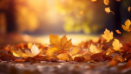 Autumn Leaves Falling Nature Abstract Art Soft Light Close Up Viewpoint Seasonal Change