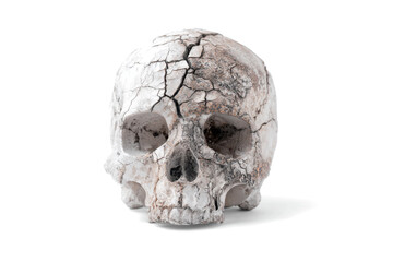 Obraz premium An ancient, fossilized human skull with extensive cracks and weathering, isolated on a stark white background.