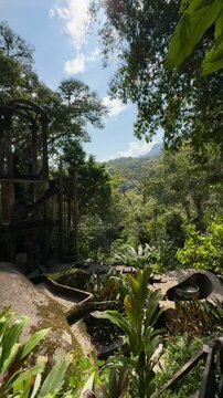 Ancient ruins in the jungle in mexico