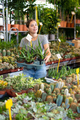 Interested young girl choosing ornamental plants in garden store, looking at potted aloes with thick, fleshy greenish leaves