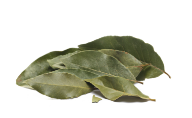 Dried bay leaves isolated on white background, side view	