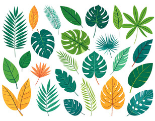 PNG von tropischen Blättern und dekorativen Pflanzenmotiven