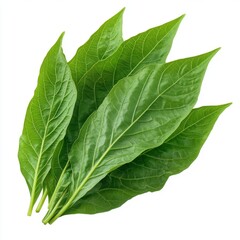 Fototapeta premium Fresh green leaves displaying vibrant texture and color, perfect for culinary use or natural decor.