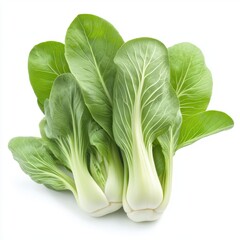 Fresh green bok choy with vibrant leaves, perfect for healthy cooking.
