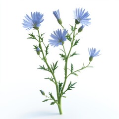 Delicate blue flowers stand tall with green foliage, exuding a serene and fresh ambiance.