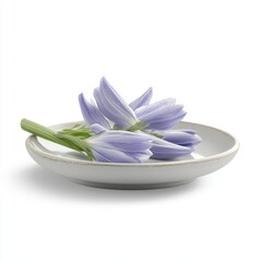 Delicate purple flowers elegantly arranged on a minimalist white plate, showcasing their soft beauty.