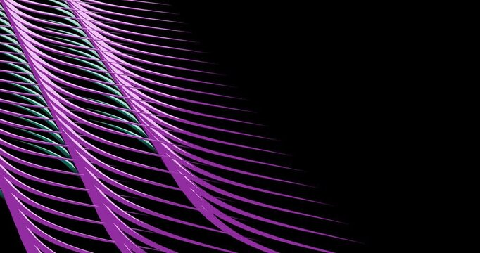 nima&ccedil;&atilde;o 4K em loop de linhas/fitas onduladas nas cores magenta e teal sobre fundo escuro, com brilho sutil e movimento cont&iacute;nuo. Visual tech e moderno com espa&ccedil;o para texto/branding