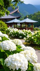 Lush white hydrangeas bloom in a tranquil garden setting