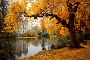 Obraz premium Autumn / Gold Trees in a park. High quality