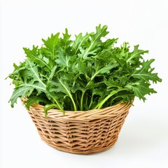 Fototapeta premium A fresh, vibrant basket of green kale leaves, showcasing their natural texture and rich color.