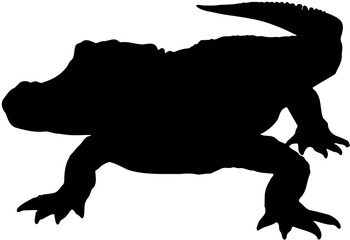 silhouette of a crocodile vector 