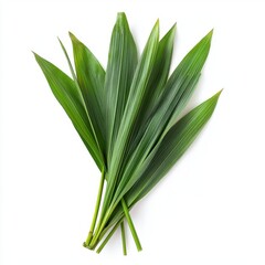 Obraz premium Fresh green pandan leaves arranged neatly on a white background, showcasing their vibrant color and texture.